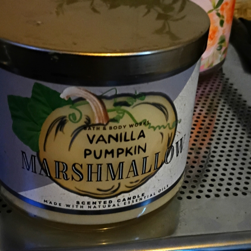 Bath and body works Vanilla Pumpkin Candle